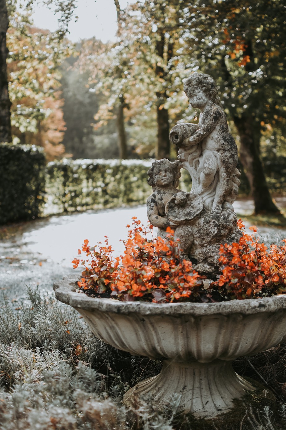 Activités au Domaine de La Gaichel